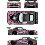 Decals for Merdeces AMG GT3 Rolex 24h Of Daytona 2019 - Image 2